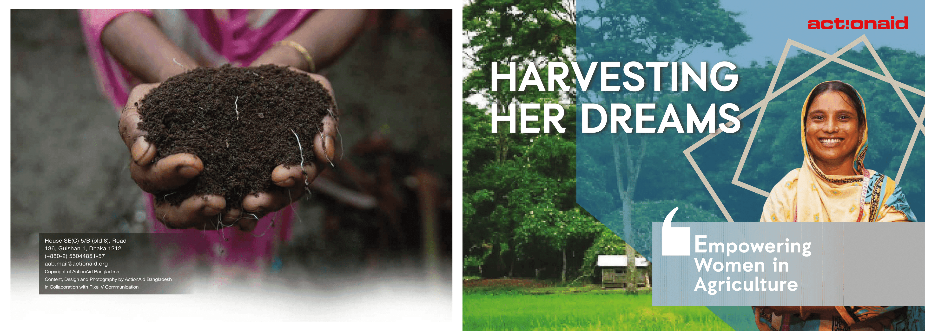 Harvesting Her Dreams