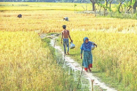 Climate Change: Poverty-stricken Patuakhali faces persistent crises