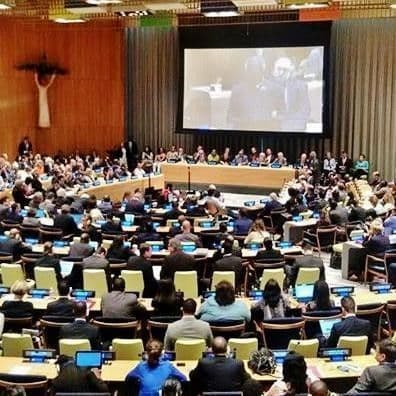 POLITICAL WILL FOR CLIMATE ACTIONS