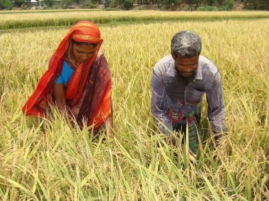 FARMER: THE UNDEFINED STATUS BY STATE