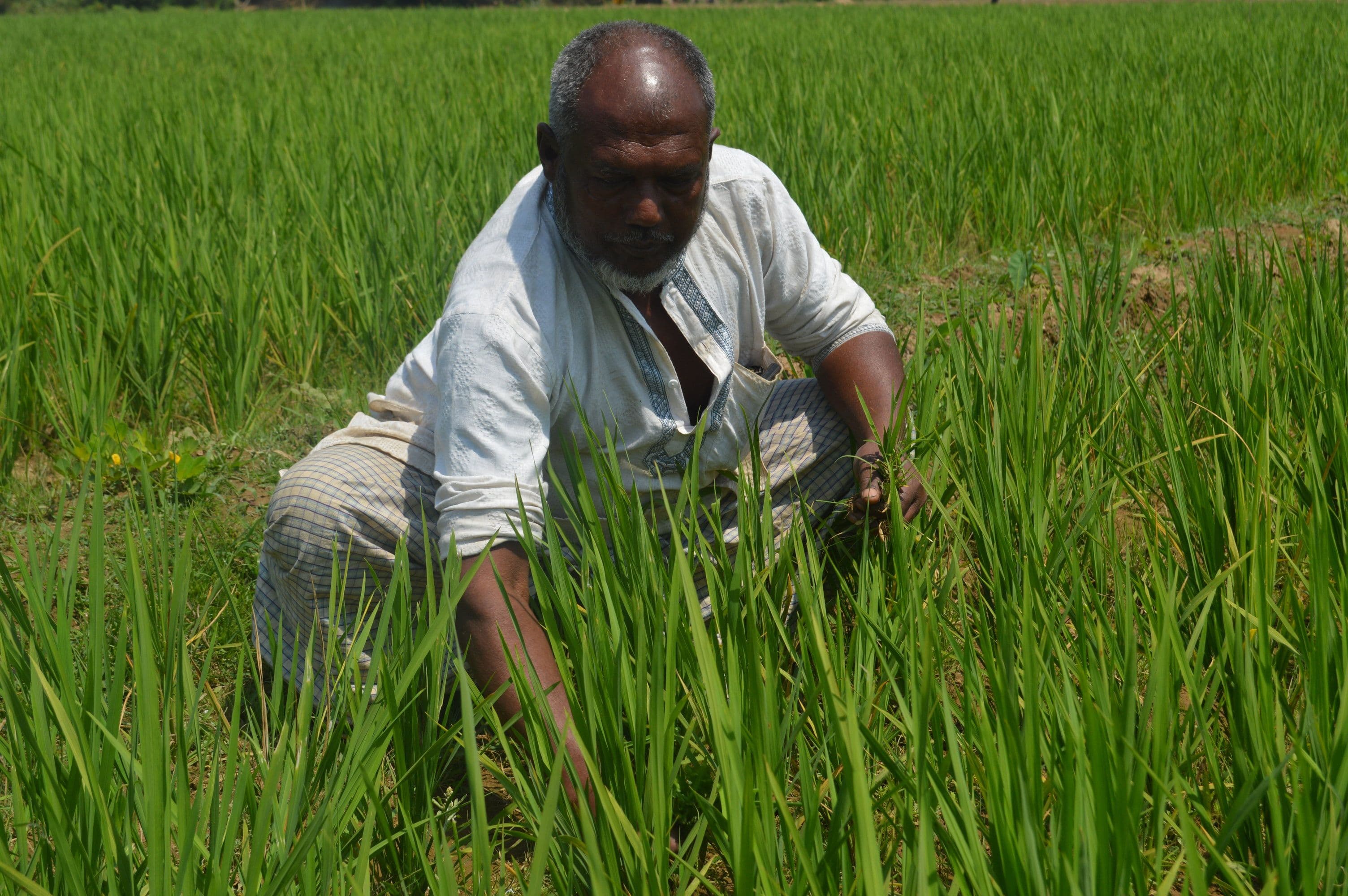 YOUNG PEOPLE - Image 1